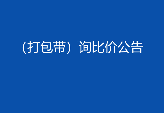 珠海經(jīng)濟(jì)特區(qū)龍獅瓶蓋有限公司采購包輔材料項(xiàng)目（打包帶）詢比價(jià)公告