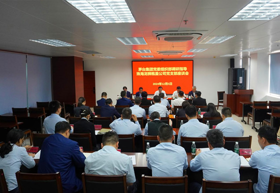 集團(tuán)公司黨委組織部部長一行到龍獅瓶蓋公司調(diào)研指導(dǎo)工作