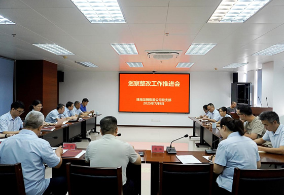 珠海龍獅瓶蓋公司黨支部組織召開巡察整改工作推進會